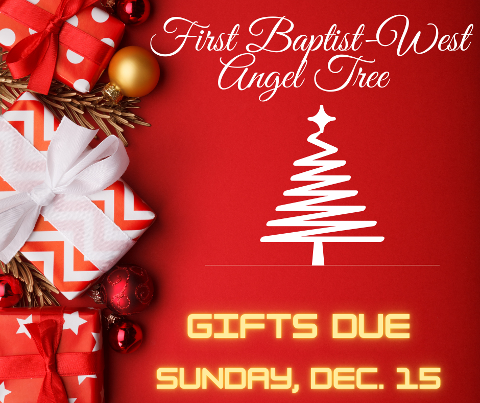 Angel tree 24